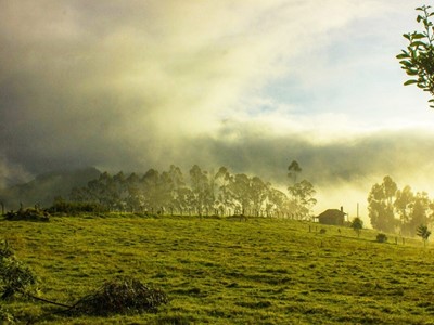 Masajes y Relajación - Tu Casa Hotel Rural - Sopó, Cundinamarca - image - 6