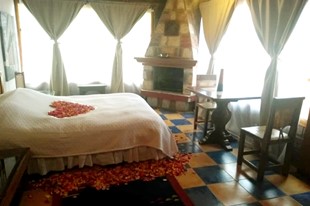 Suite Junior - Frida Kahlo - Tu Casa Hotel Rural - Sopó, Cundinamarca - image - 6